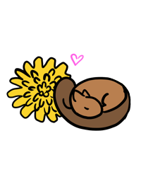 A digitally drawn squirrel sleeping next to a dandelion.